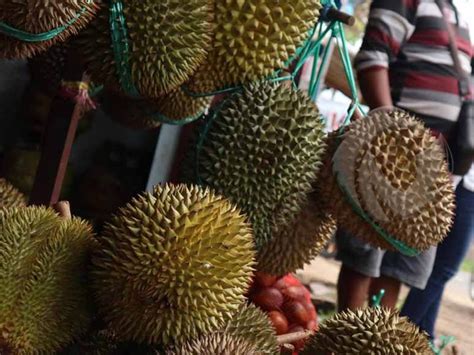 Harga Durian di Wonosalm: Berapa Sih?