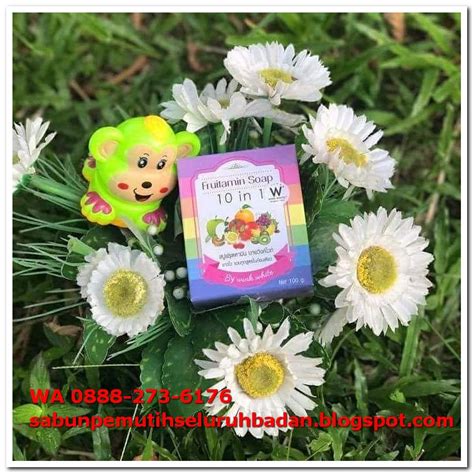 Harga Fruitamin Soap di Apotik