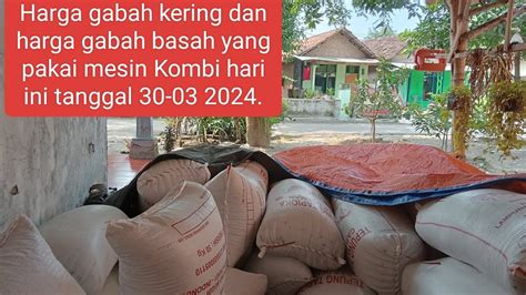 Bagaimana Cara Cari Harga Gabah Basah Hari Ini?