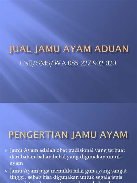 Harga Ayam Bangkok Blitar