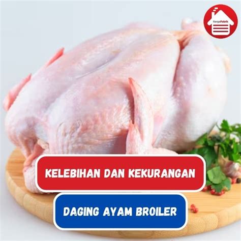 Kelebihan Ayam Broiler Arboge