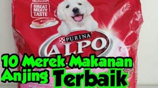Mengapa Harga Happy Puppy Balikpapan Bervariasi?