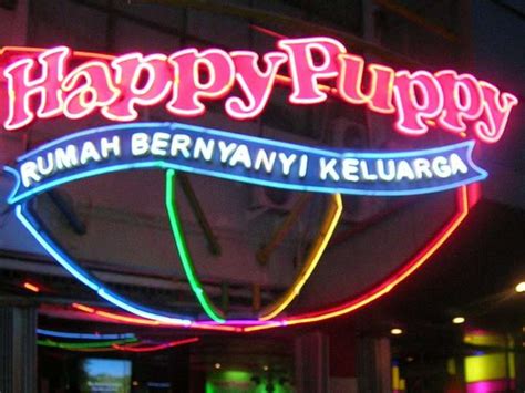 Tips Penting Sebelum Membeli Happy Puppy Cilegon