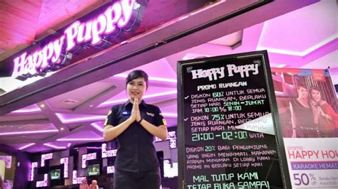 Apa Itu Happy Puppy Makassar?
