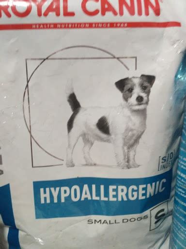 Tips untuk Menemukan Anjing yang Sesuai
