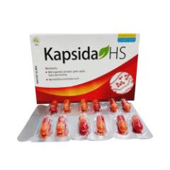 Pengertian Kapsida HS