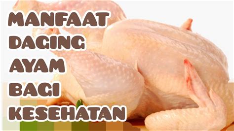 Manfaat Ayam Maraton Quick Chicken untuk Kesehatan