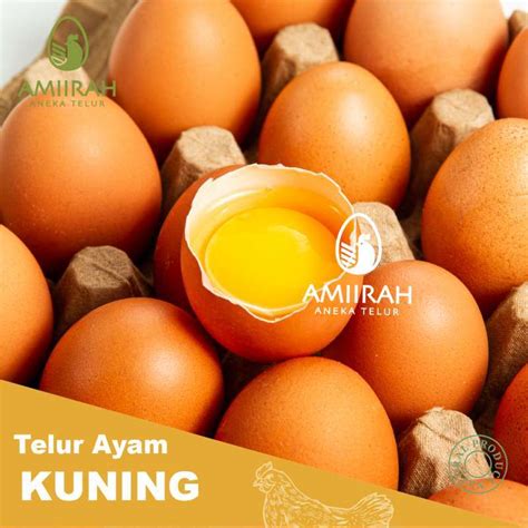 Harga Ayam Negri 1 Kg di Pasaran