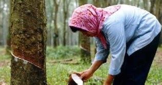 Pengertian Karet Alam dan Pentingnya Menguasai Harga Karet Alam Hari Ini