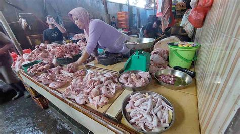 Harga Ayam Potong Medan