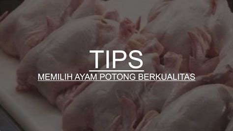 Tips Memilih Ayam Potong Medan