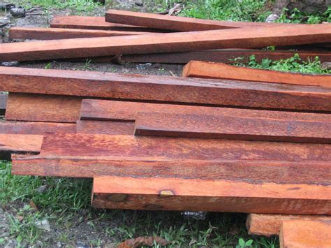 Faktor-Faktor yang Mempengaruhi Harga Kayu Balau Merah