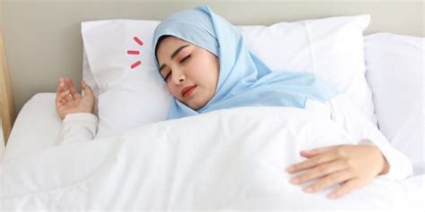 Kiat Menjaga Kenari Agar Sehat dan Bugar