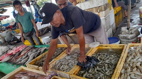 Harga Kepiting di Muara Angke