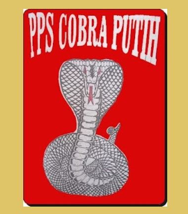 Sejarah King Cobra Putih