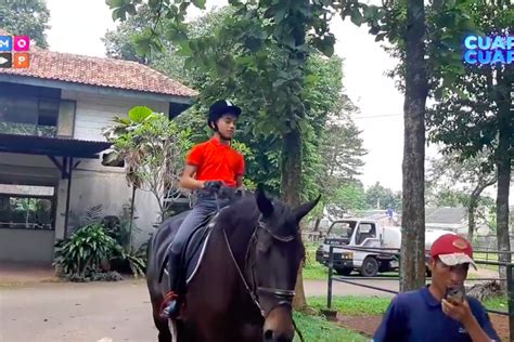 Spesifikasi dan Parameter Kuda Jerman Ruben