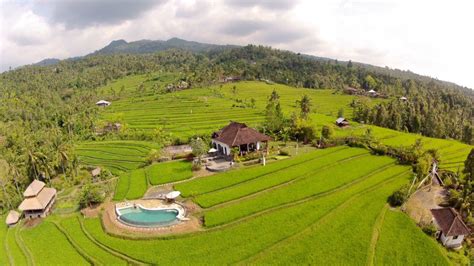 Why Choose Purimas Bali?