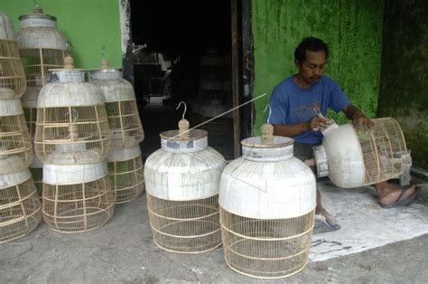 Harga Kurungan Burung Perkutut Biasa