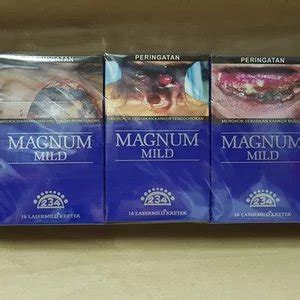 Tips untuk Mendapatkan Harga Magnum Mild Biru Terbaik