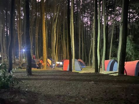Fasilitas yang Tersedia di Hutan Pinus Sentul