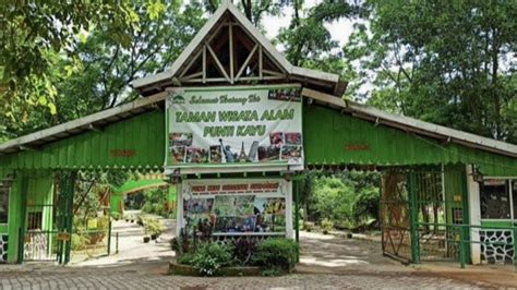 Tips Praktis untuk Menghitung Harga Masuk Punti Kayu