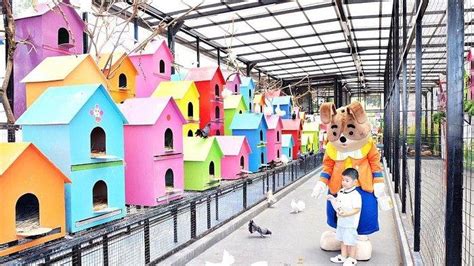 Harga Masuk Rabbit Town: Berapa Harga yang Diperlukan?