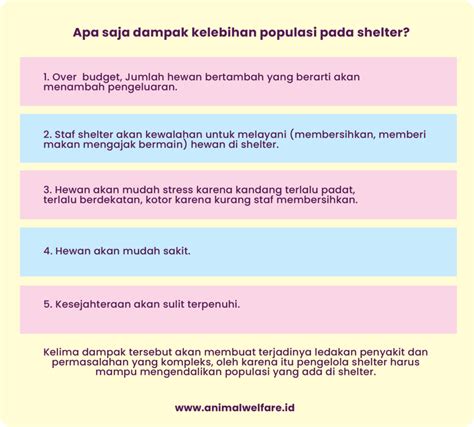 Kelebihan-kelebihan Shelter Bandung