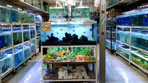 Harga Terkini Fish Street Depok
