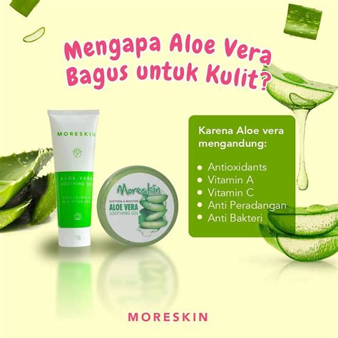 Cara Penggunaan Moreskin Aloe Vera Gel Nasa