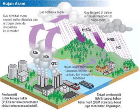apa yang Dipertimbulkan dan Apa yang Dinantikan
