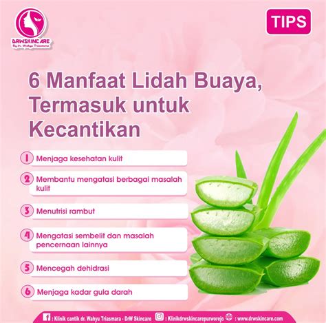 Manfaat Produk bagi Kulit Wajah