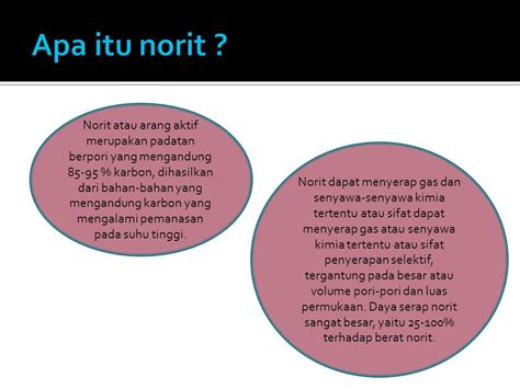 Pengenalan Norit: Apa Itu dan Fungsinya?