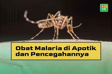 Cara Mencari Obat Malaria yang Tepat