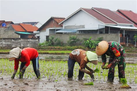 Bagaimana Membantu Petani dan Masyarakat di Lampung