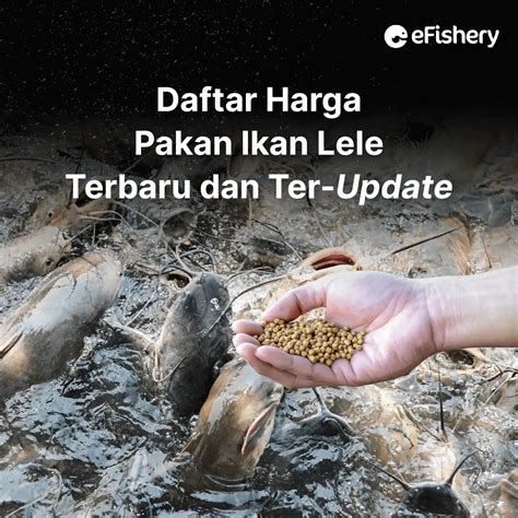 Konsekuensi dari Harga Pakan Ikan Global Feed