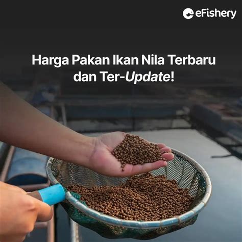 Sejarah Harga Pakan Ikan Global Feed