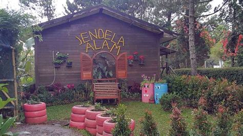 Harga Paket Jendela Alam yang Sesuai dengan Kebutuhan Anda