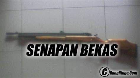 Tips untuk Membeli Senapan Angin yang Tepat
