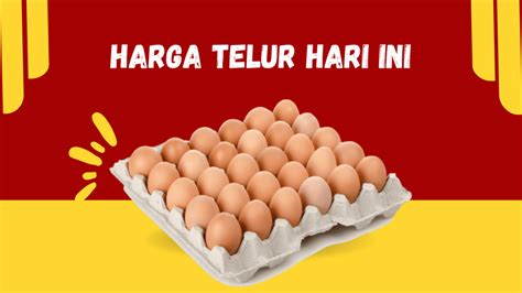Harga Posko Telur Hari Ini