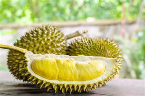 Manfaat Roti Durian Panglima untuk Kesehatan
