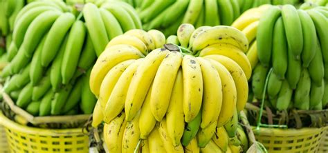 Jenis Pisang dan Harga di Surabaya