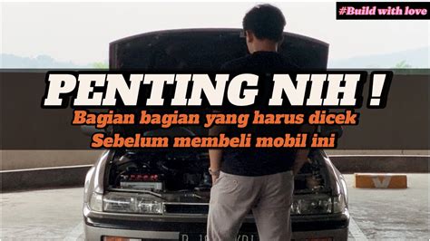 Tips dan Trik Membeli Pisang Surabaya