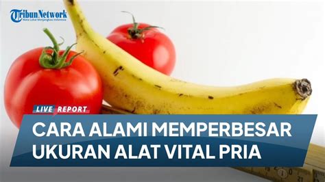 Tips Berguna untuk Meregangkan Alat Vital Pria