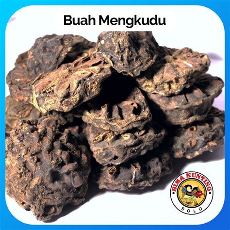 Harga Buah Mengkudu Perkilo di Toko Online