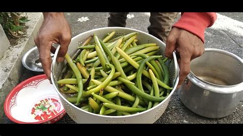 Tips Membeli Buah Vanili dengan Baik