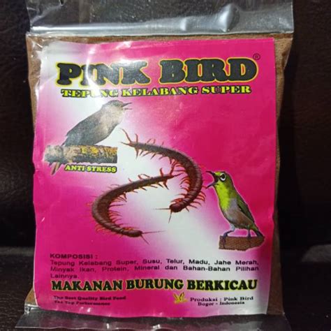 Harga Burung Erow Kelabang