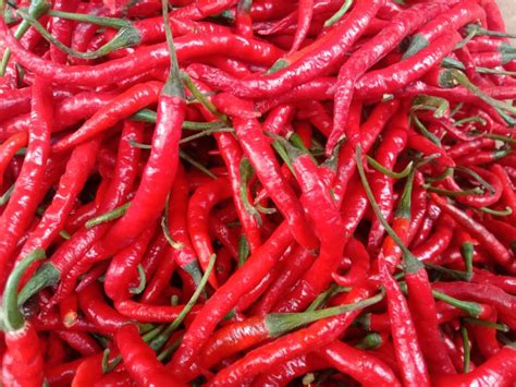 Konsekuensi Naiknya Harga Cabai Merah di Medan