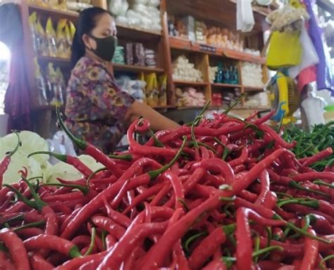 Harga Cabai Merah Hari Ini di Lampung