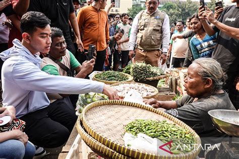 Faktor-Faktor yang Mempengaruhi Harga Cabai Pasar Induk Kramat Jati