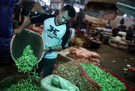 Solusi untuk Meningkatkan Ketersediaan Cabai di Pasar Induk Kramat Jati